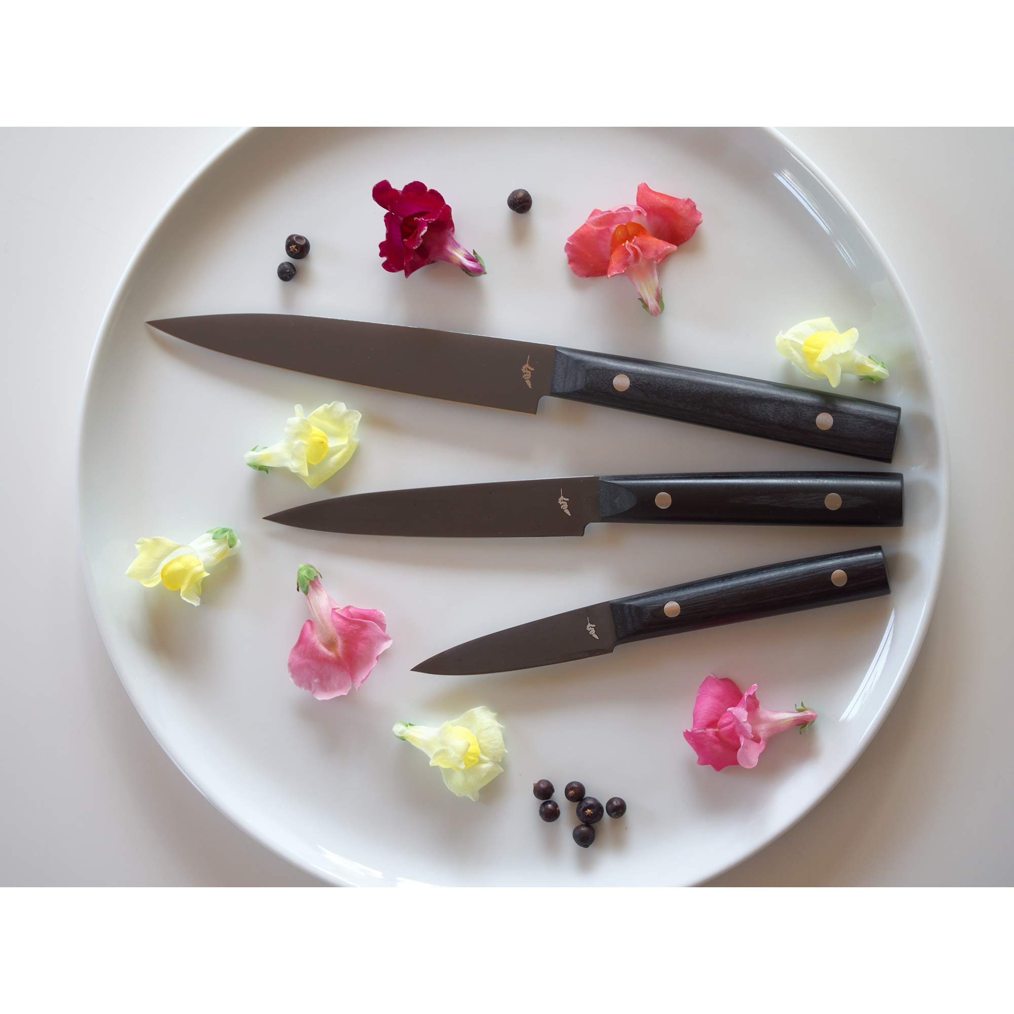 Michel BRAS ミシェル・ブラス コティディアン 1 (S)ナイフ 31CCIGho97L._AC_UF350,